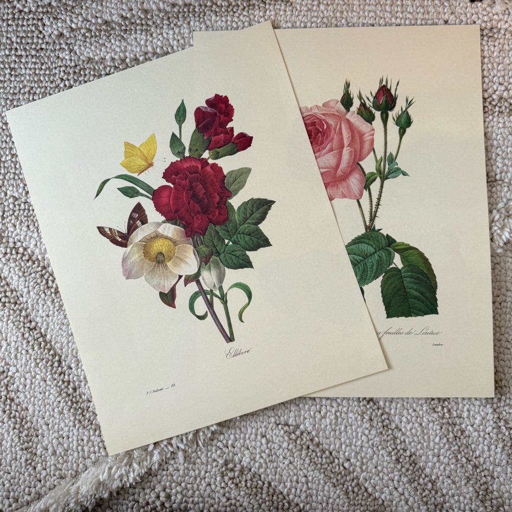 Two French Botanical Flower Posters 11X14"